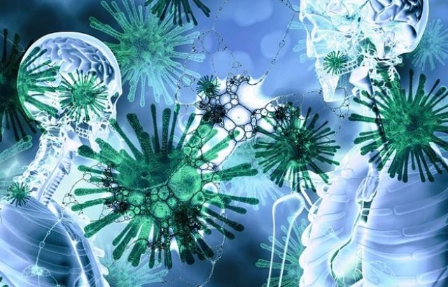 За сутки в Поморье выявлено 72 новых случая коронавируса