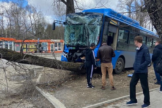 В Хабаровске автобус попал в ДТП с автомобилем и деревом