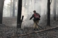 В настоящее время лесных пожаров на территории региона нет