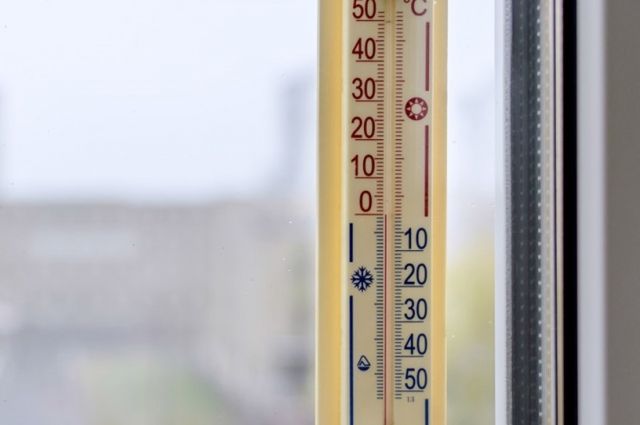 Во Владимирской области 25 апреля похолодает до нуля градусов