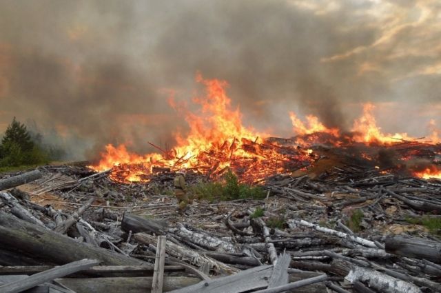 В Прикамье неизвестные подожгли склад отходов лесопилки