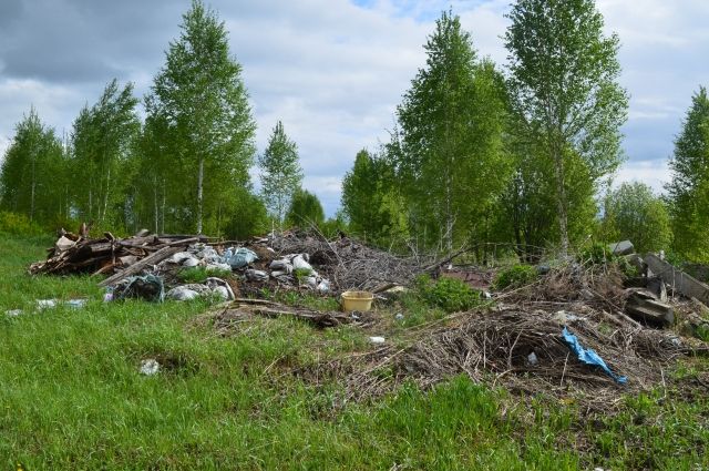 Жители Свердловской области за выходные дни собрали 16 тонн мусора