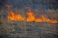 Пожары на полях свидетельствуют о развале сельского хозяйства, уверен заслуженный агроном России.
