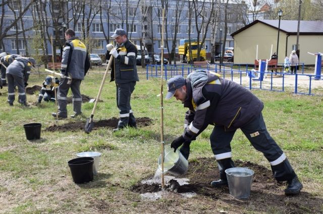 Сотрудники Рязанской НПК провели озеленение в Турлатове