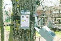  С помощью специальных устройств в режиме реального времени учёные собирают информацию о деревьях.