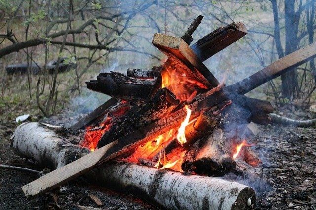 Во Владимирской области с 1 мая установят особый противопожарный режим
