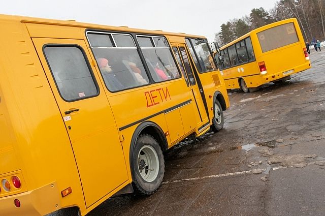 В Пермском крае детей не отвозил на учёбу школьный автобус