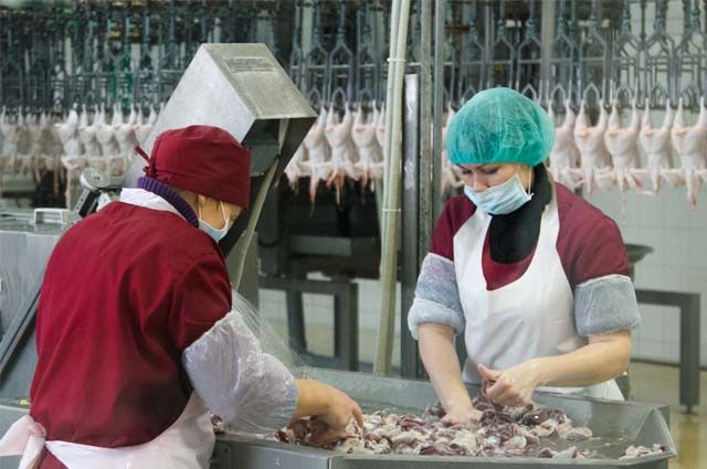 Производство мяса птицы в Ростовской области выросло в восемь раз