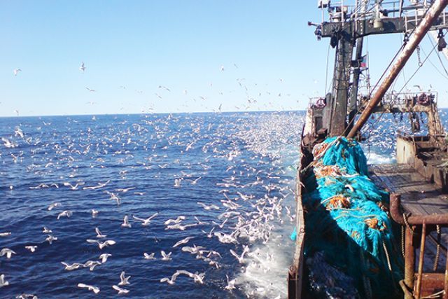Китай приостановил прием рыбы с судна «Океанрыбфлота» из-за коронавируса