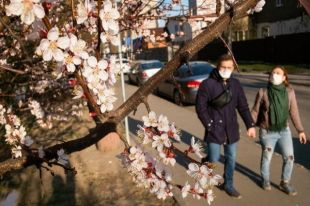 Прогноз погоды в Украине на 4 мая: ожидается переменная облачность.