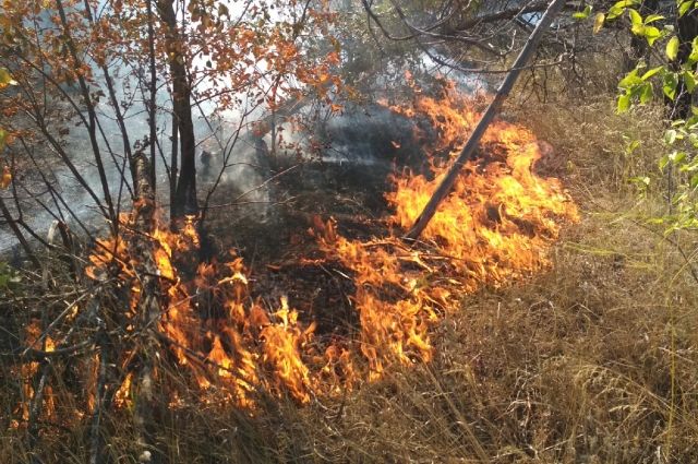 С начала 2021 года на территории Оренбургской области зарегистрировано 25 лесных пожаров.