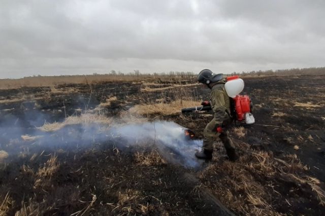 Огонь в пойменной части протоки Старый Иртыш на противоположном берегу от окружного центра вспыхнул около четырех часов утра
