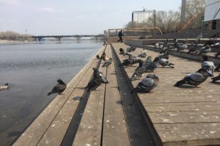 Теплая погода продержится всего два дня.