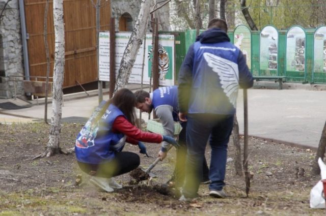 В Хабаровске прошла международная акция «Сад Памяти»