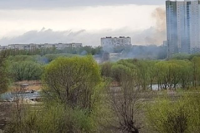 В Ульяновске любители пикников устроили пожар на Чёрном озере