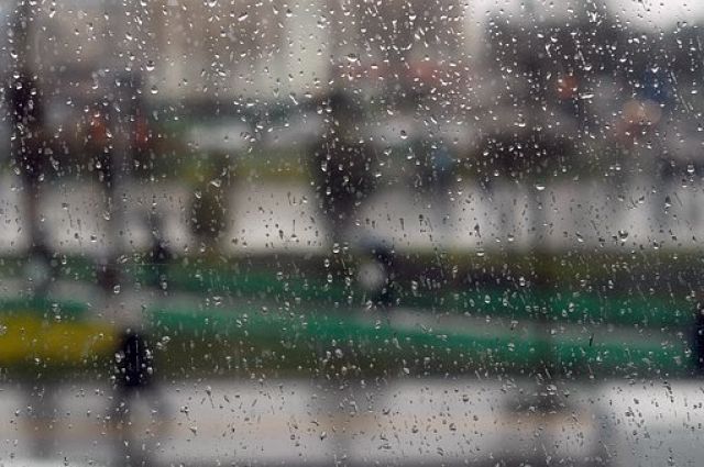 Погода в Югре на 6 мая: местами дожди