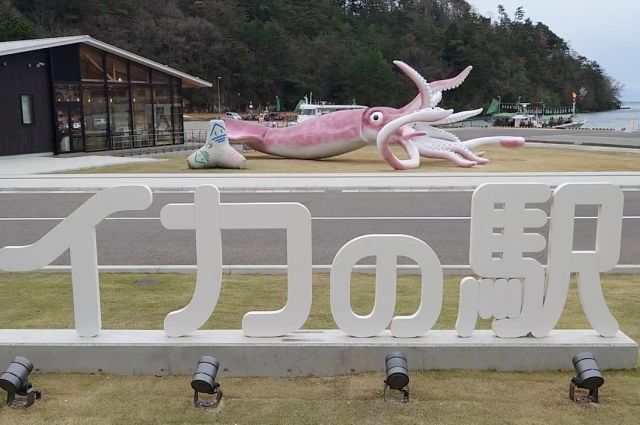 В Японии на деньги, выделенные на борьбу с COVID, построили статую кальмара