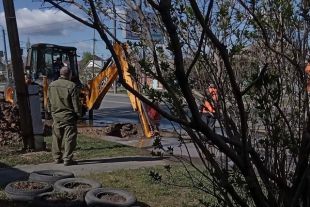 Это уже второй за две недели приезд аварийной бригады на проспект Комарова. Фото Натальи Мосягиной