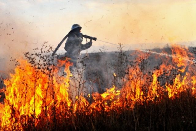 На Камчатке за сутки выгорело четыре гектара сухой травы