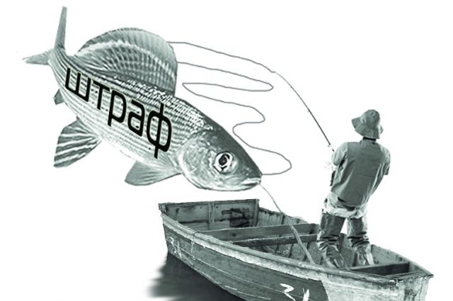 В Оренбуржье двое мужчин рыбачили в период нереста. 