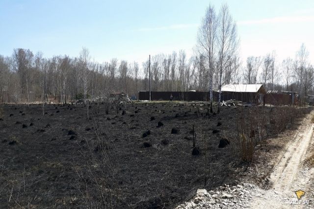 В Новосибирске дачник спровоцировал крупный пожар в поле Академгородка