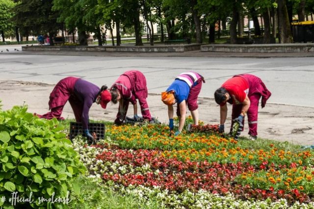 Цветники в Смоленске подготавливают к весенне-летнему сезону