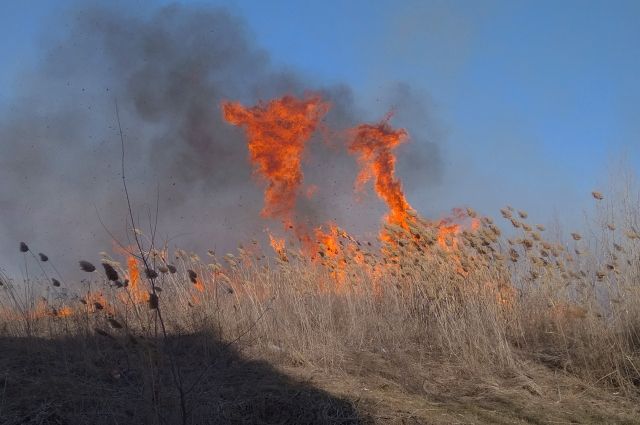 На Кубани в семи районах действует противопожарный режим
