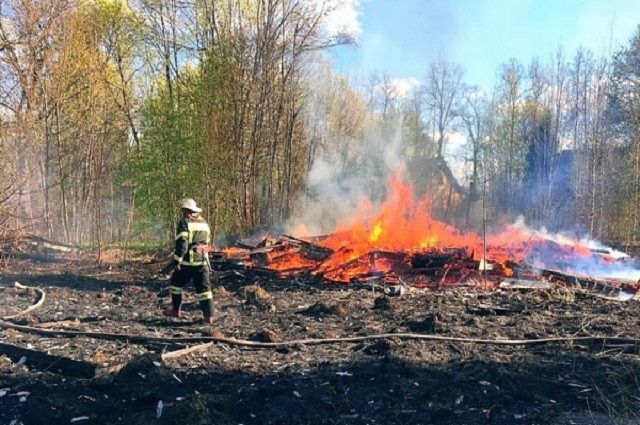 Во Владимирской области дотла сгорела турбаза «Мстера»