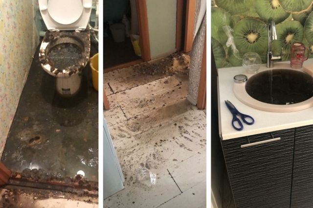 Фекальный потоп уничтожил квартиру в Новосибирске