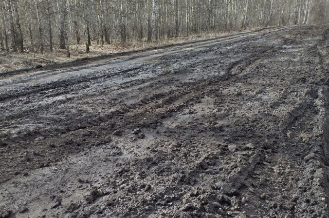 Жители села Локти под Новосибирском пожаловались на убитую дорогу