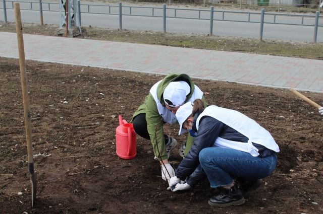 Псковский губернатор о проекте «Зеленая область»: Это только начало!