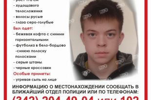 Волонтёры просят распространить информацию.
