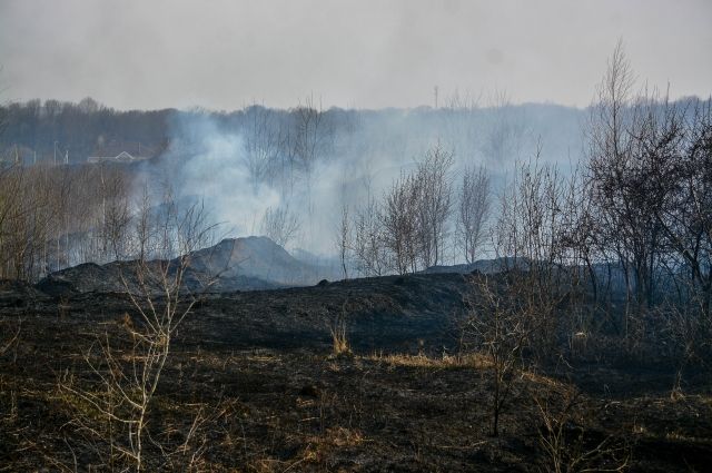 Метеорологи объяснили, почему Пермский край накрыл смог от пожаров