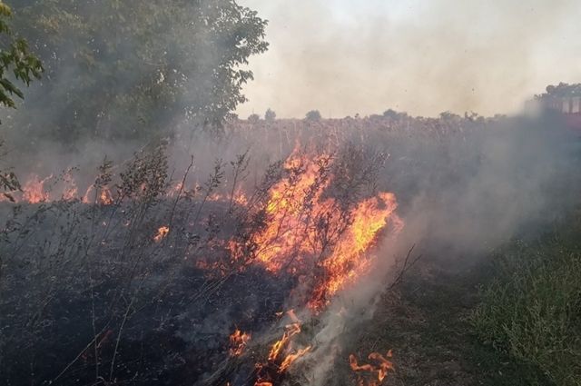 Более 150 пожаров произошло за сутки в Алтайском крае