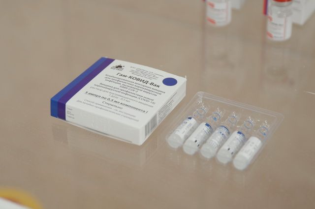 Камчатским бюджетникам пообещали бесплатное тестирование на антитела