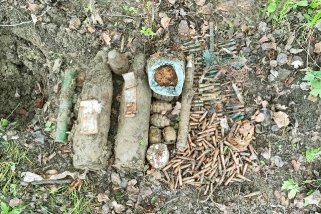 Росгвардейцы нашли в Чечне старый схрон взрывчатки и боеприпасов