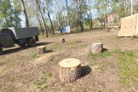 В Оренбурге прокуратура требует возбудить уголовное дело по вырубке 17 деревьев на Красной площади.