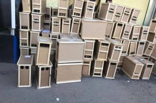 Укрпочта не будет перевозить насекомых из-за гибели восьми миллионов пчел