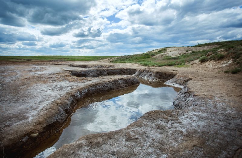 Погода в буртинском оренбургская. Буртинская степь.