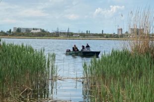 В Николаеве нашли труп пропавшего без вести бизнесмена