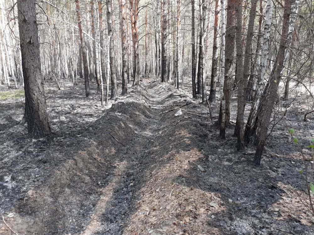 Встречный пал. Горят леса: как тушат пожары в Тюменской области, 2021.