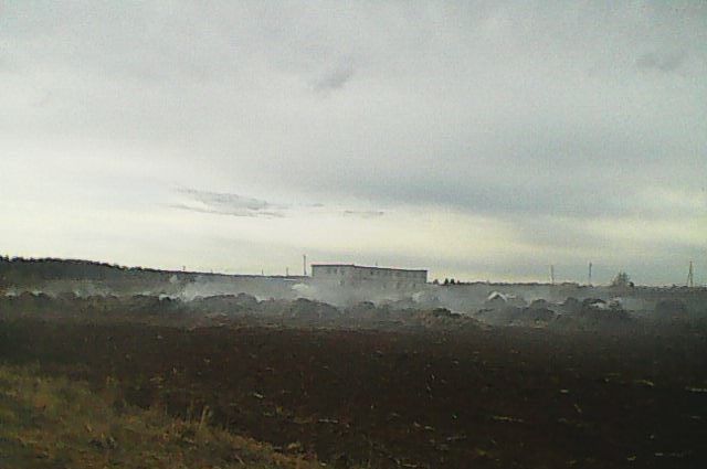 Ферма сгорела из-за съемок ролика.