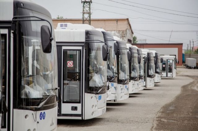 В Саратове изменили расписание четырех пригородных автобусов