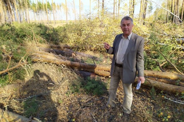 Государственный инспектор по охране леса Владимир Стенюшкин.