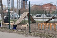 Современные площадки для выгула собак появились в Центральном районе Челябинска.