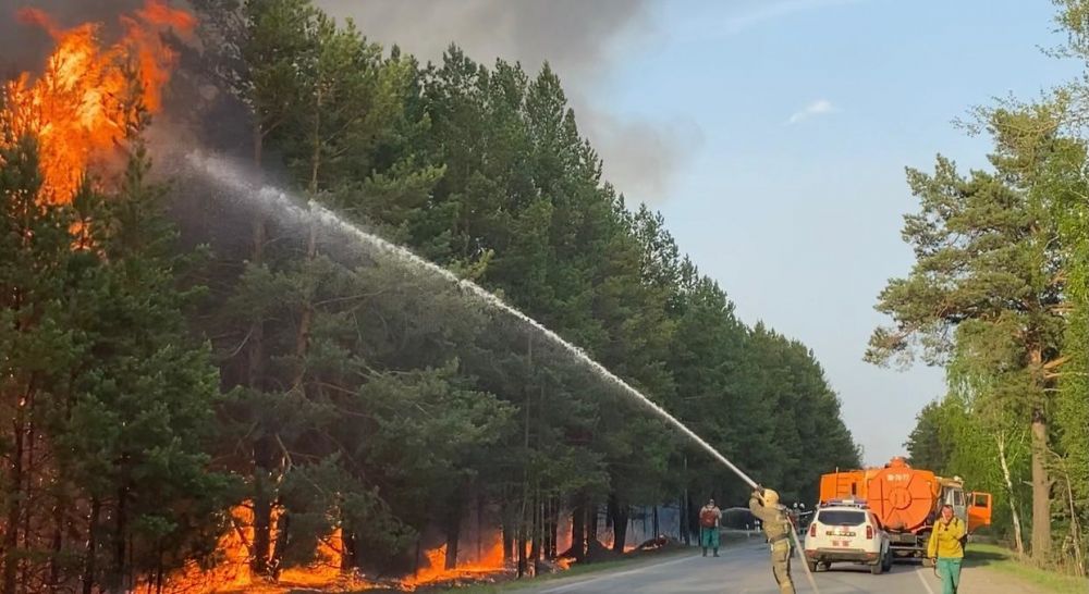 На борьбу с огнем всеми силами. Лесные пожары в Тюменской области, 2021