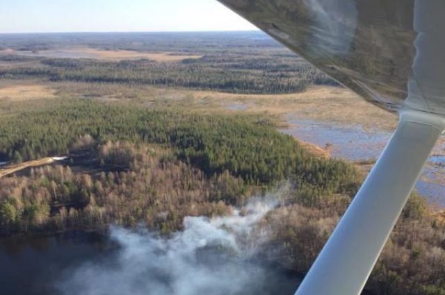 В России за сутки ликвидировали 138 лесных пожаров
