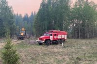 Пожар стал самым крупным в Пермском крае с 31 мая 2015 года
