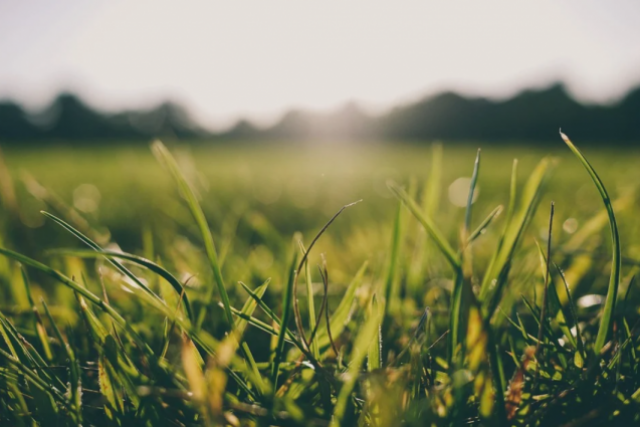 «Жилищник» проводит покос травы на придомовых территориях в Смоленске