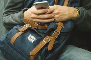 С начала года на платформу поступило более 28 тысяч сообщений